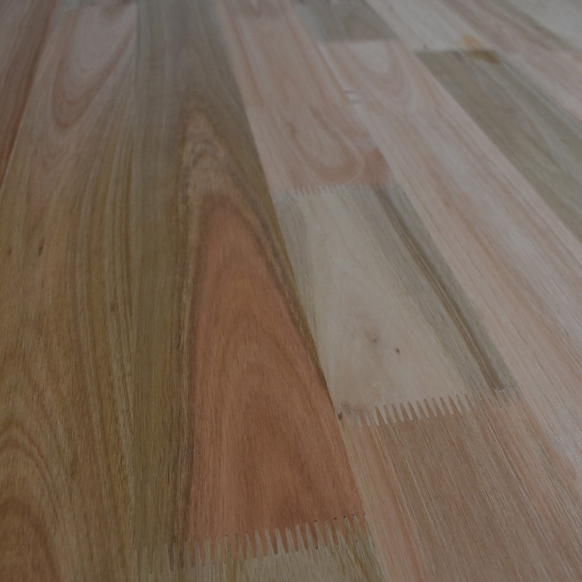 PLACA FINGER EUCALIPTUS 20MM (3.05X1.22)